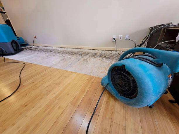 Professional Flood Damage Cleanup technician working in Solomon, AZ